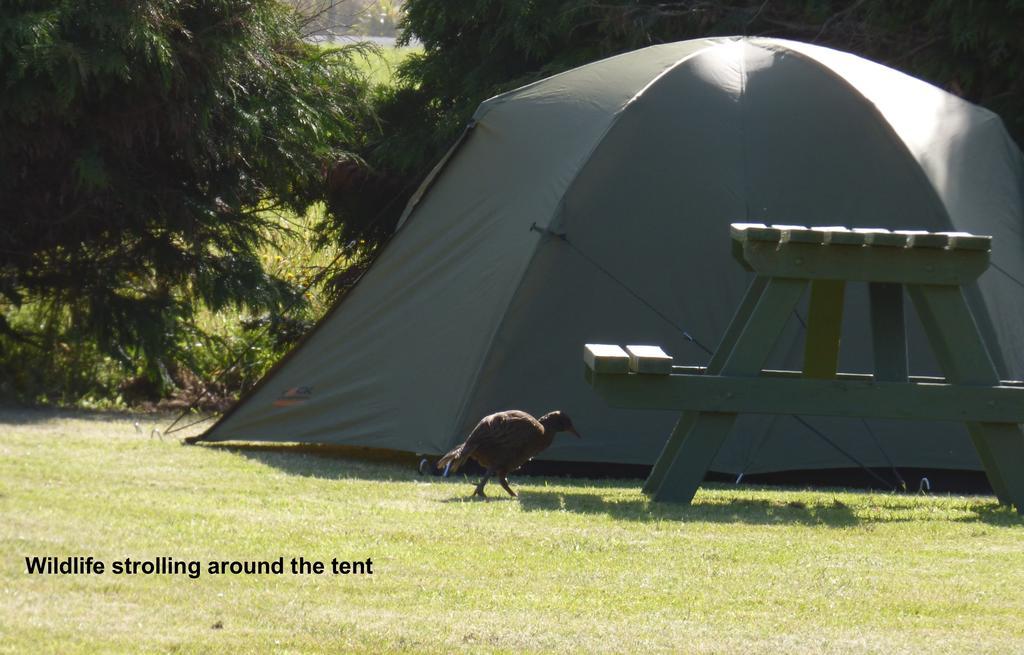 Carters Beach Top 10 Holiday Park Westport Dış mekan fotoğraf