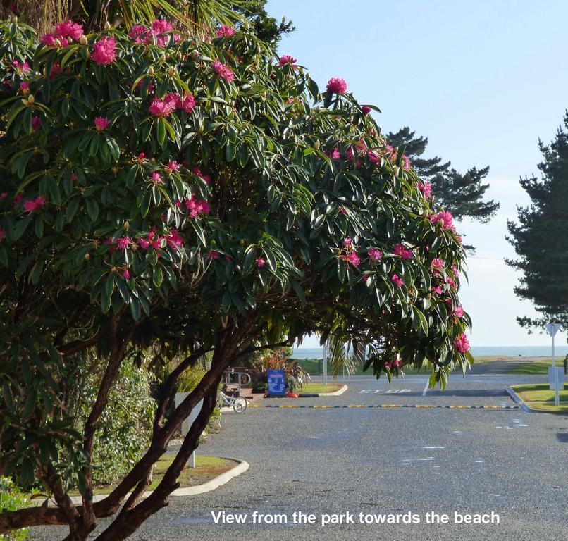 Carters Beach Top 10 Holiday Park Westport Dış mekan fotoğraf